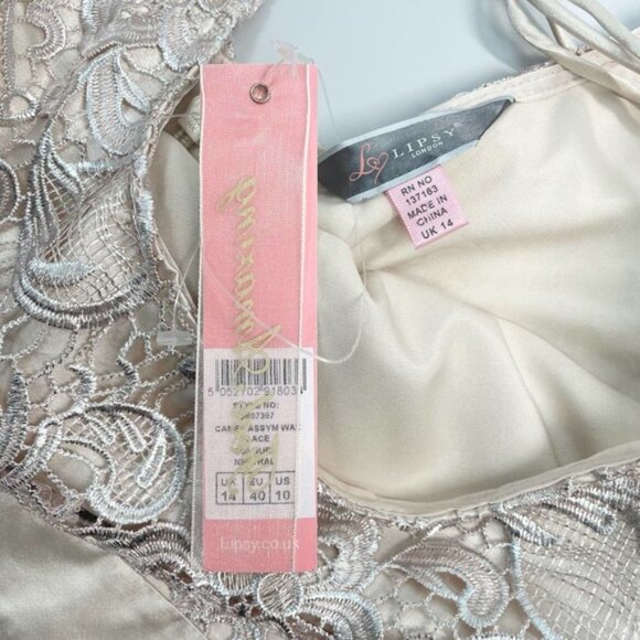 NWT LIPSY London Floral Lace Sheath Dress Sz 10 Neutral - Picture 4 of 5